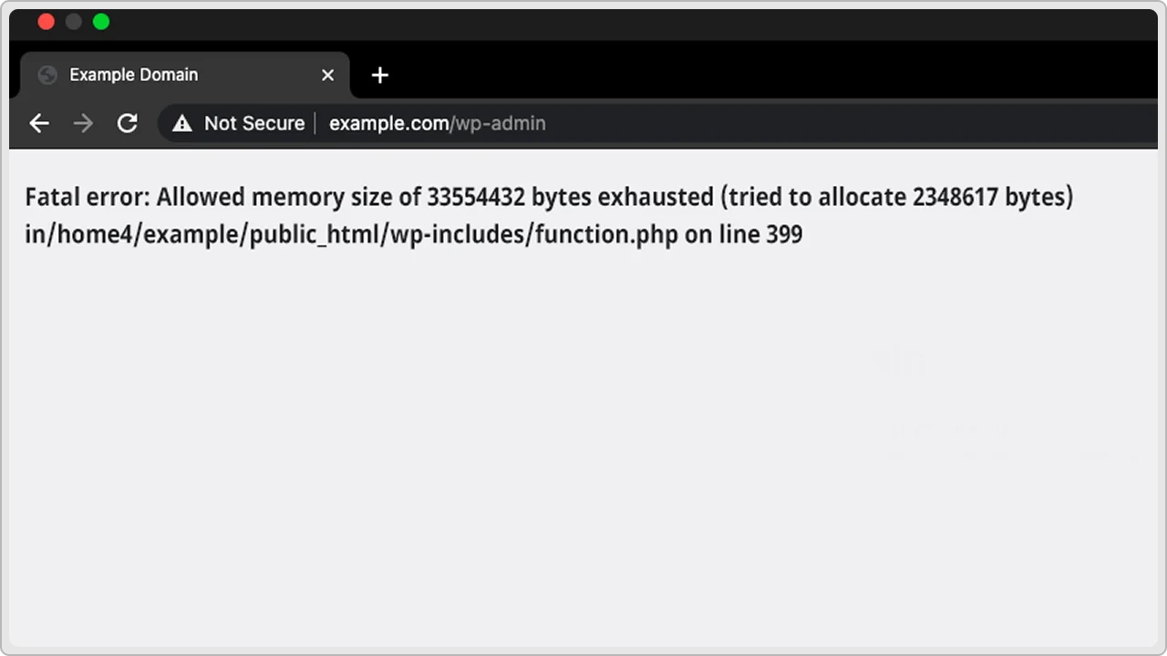 Memory Exhausted Error