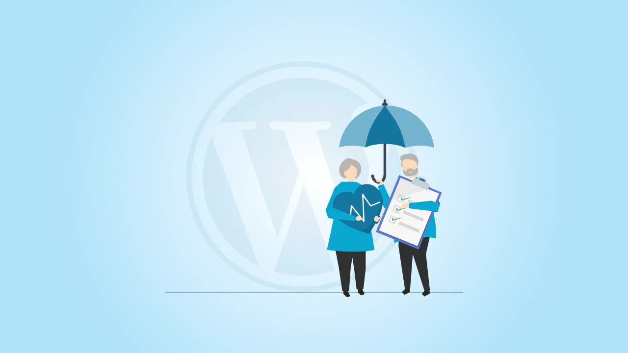What is a WordPress care plan