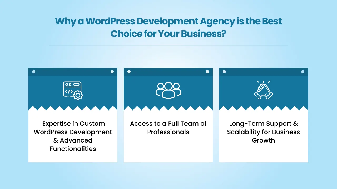 Why a WordPress Development Agency is the Best