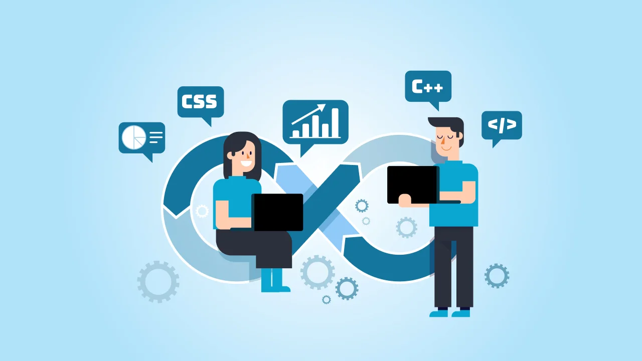 WordPress development process